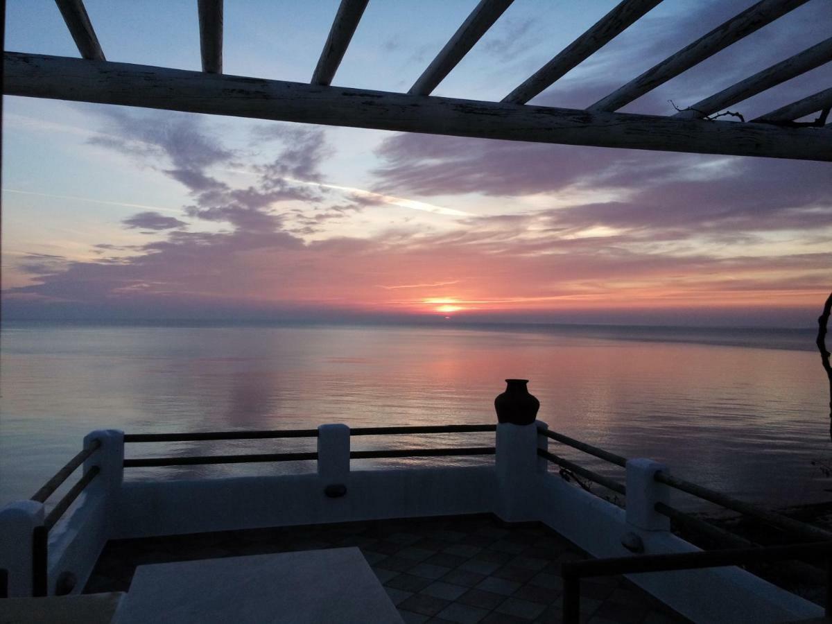 Plori House ξενώνας Σκύρος Εξωτερικό φωτογραφία